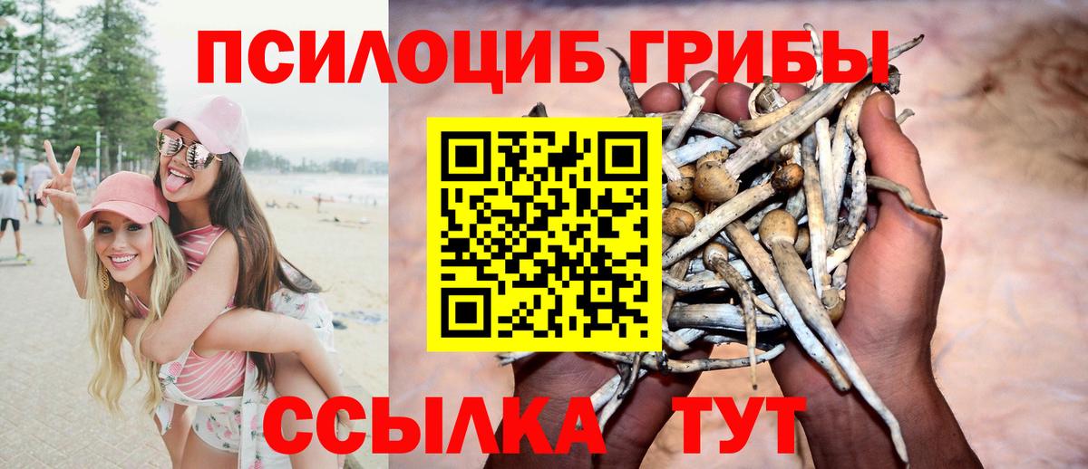 Галлюциногенные грибы MAGIC MUSHROOMS  Вход с VPN  Верхняя Салда 